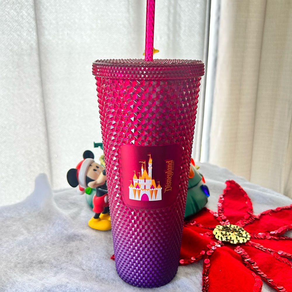 🛑 Clearance New Disneyland Starbucks venti Tumbler